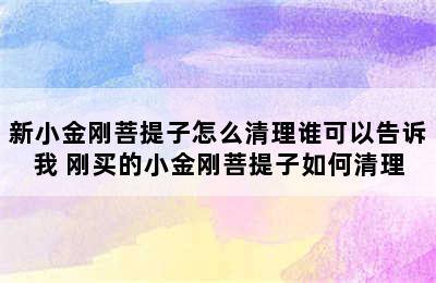 新小金刚菩提子怎么清理谁可以告诉我 刚买的小金刚菩提子如何清理